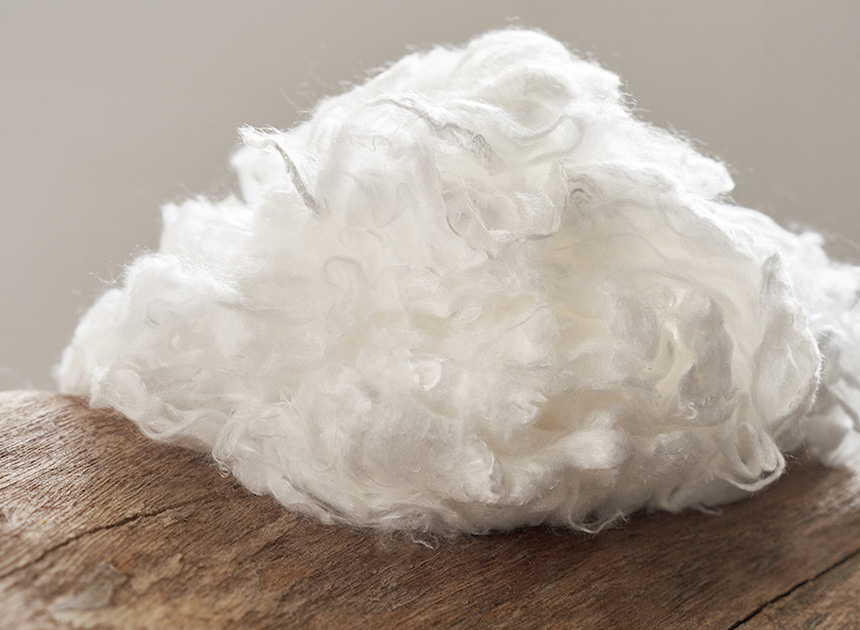 Fibers